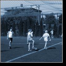 (50/54): dsc02980.jpg