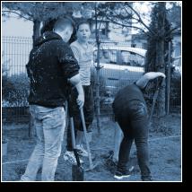 (24/56): img_1382.jpg
