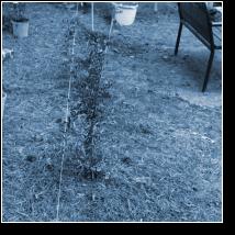 (40/56): img_1402.jpg