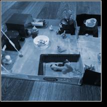 (27/52): img_20200501_173356_wiktor_sulkowski.jpg